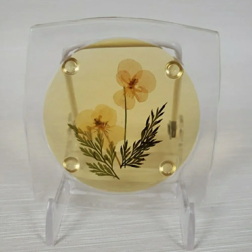 VTG 5 Clear Lucite Acrylic Coasters Pressed Flowers Clover Romantic Cottage MCM